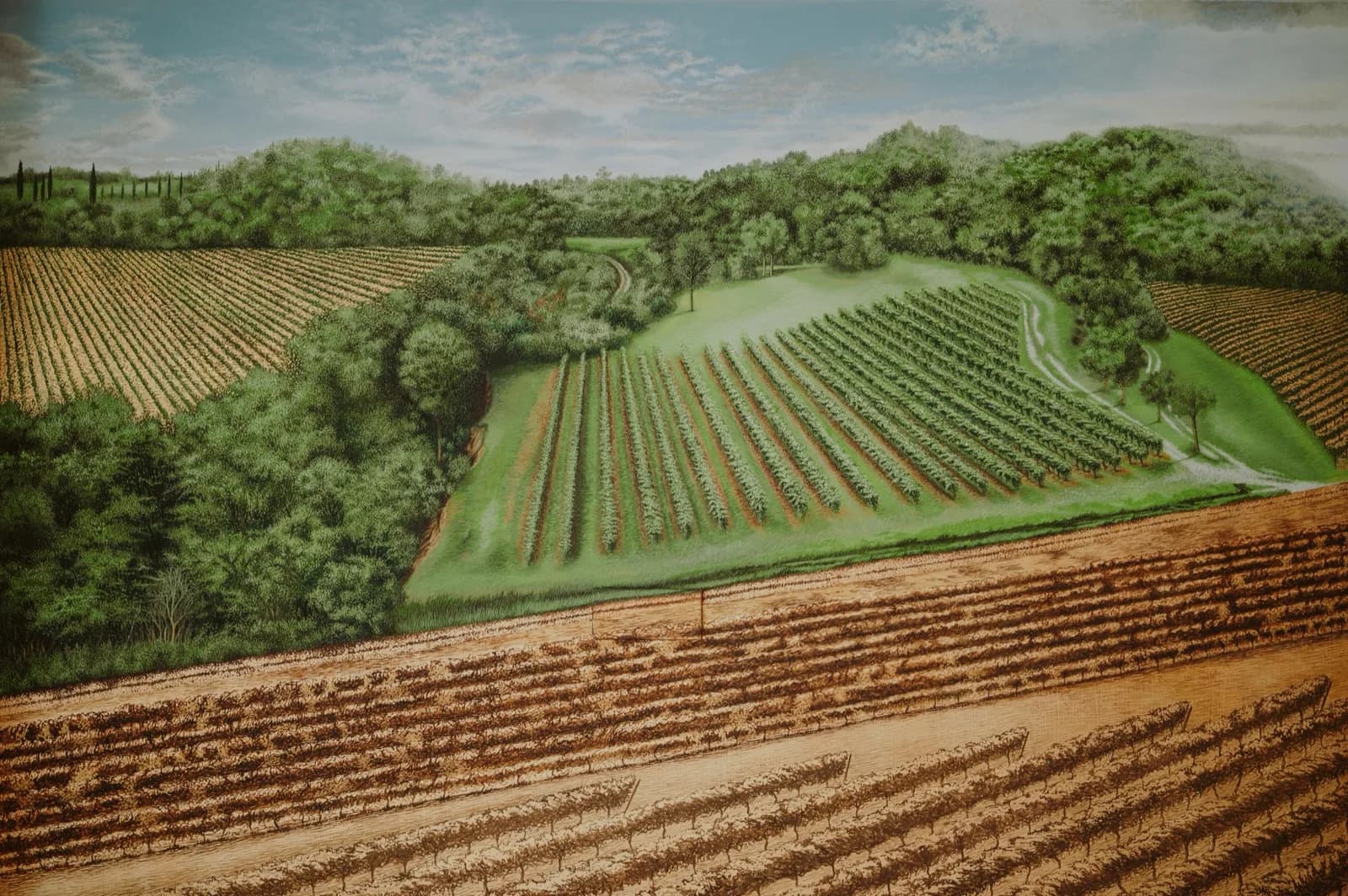 Il murale finito: le colline della Valtènesi coltivate a vigneto, dipinte sulla parete della sala